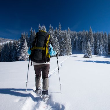 uzun yürüyüşe çıkan kimse kış Dağları snowshoeing