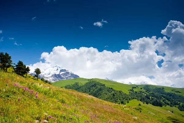Üst svaneti, Gürcistan'ın Kafkasya dağlarında güzel vadi — Stok fotoğraf