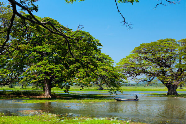 Красивый вид на озеро в Шри-Ланке с рыбаком на лодке
