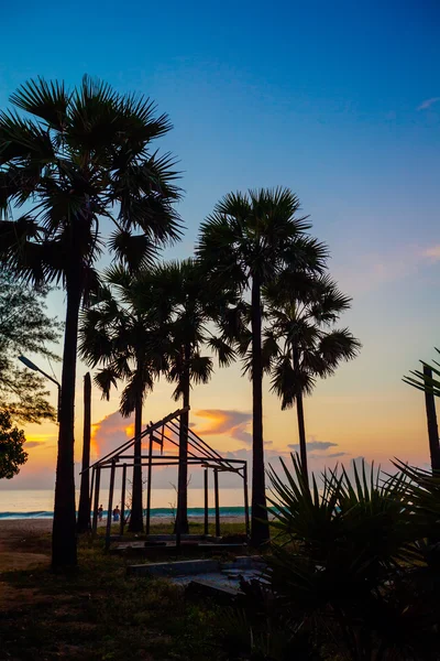 Sihlouette od palmy na pobřeží Srí Lanky — Stock fotografie