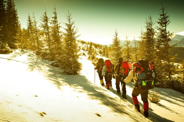 Excursionista en las montañas de invierno —  Fotos de Stock