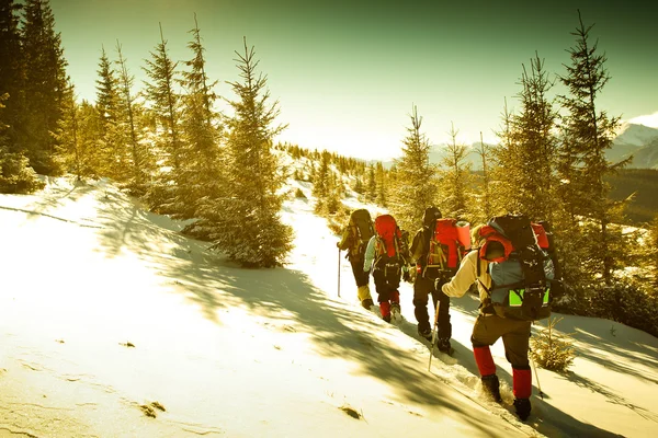 Wanderer in den Winterbergen — Stockfoto