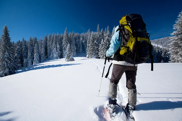 Excursionista en las montañas de invierno — Foto de Stock