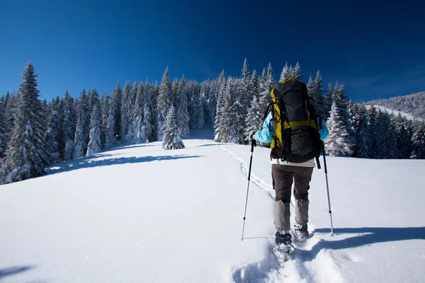 Пішохід в зимових горах — стокове фото