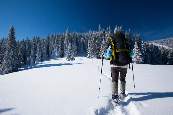 Wanderer in den Winterbergen — Stockfoto