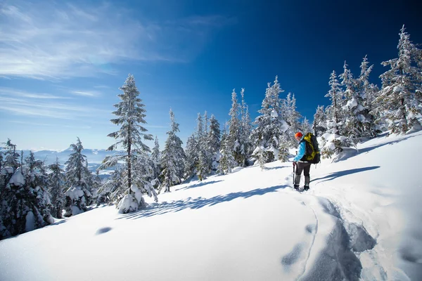 Caminhante em montanhas de inverno — Fotografia de Stock