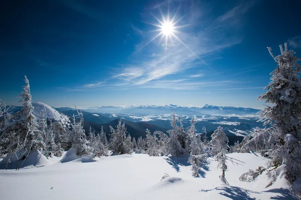 Belle montagne invernali dei Carpazi — Foto Stock