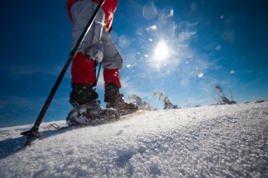 uzun yürüyüşe çıkan kimse kış Dağları snowshoeing