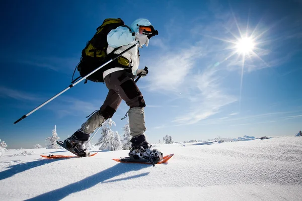 Kış dağlarında yürüyüş yapan