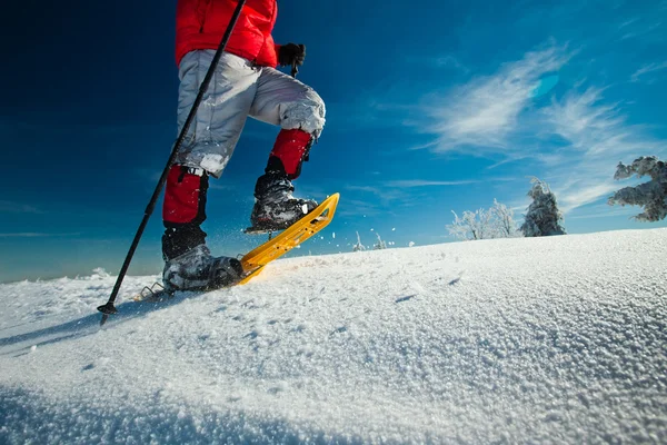 Excursionista en las montañas de invierno — Foto de Stock