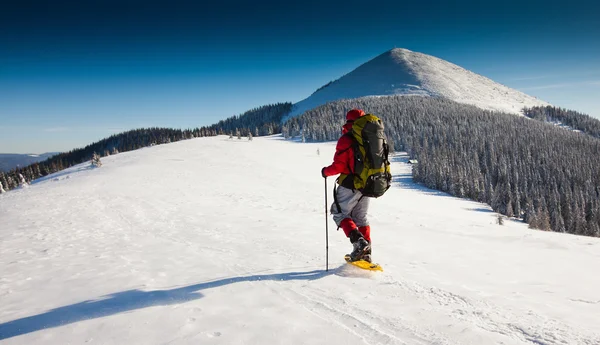 Caminhante em montanhas de inverno — Fotografia de Stock