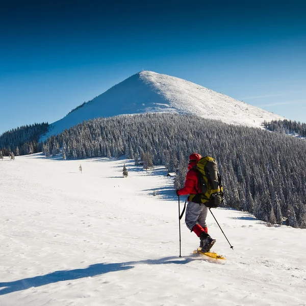 Caminante en invierno montañas raquetas de nieve — Foto de Stock