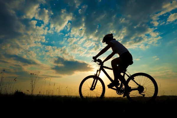 Biciklis lány a naplementében a réten — Stock Fotó