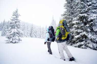 Uzun yürüyüşe çıkan kimse kış orman