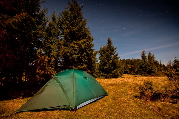 Tienda iluminada con luz en el bosque nocturno — Foto de Stock