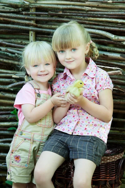 Las niñas juegan con pato —  Fotos de Stock