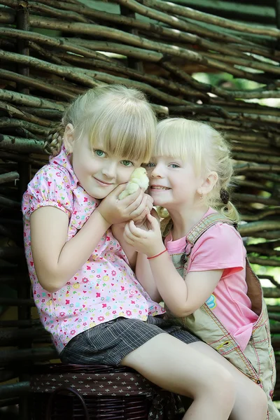 Las niñas juegan con pollo —  Fotos de Stock