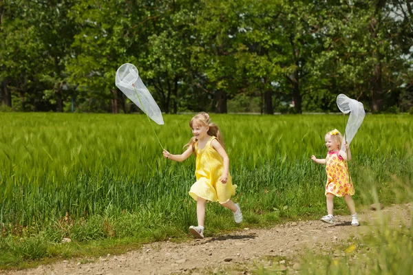 Flickor med fjärilshåv ha roligt på fältet — Stockfoto