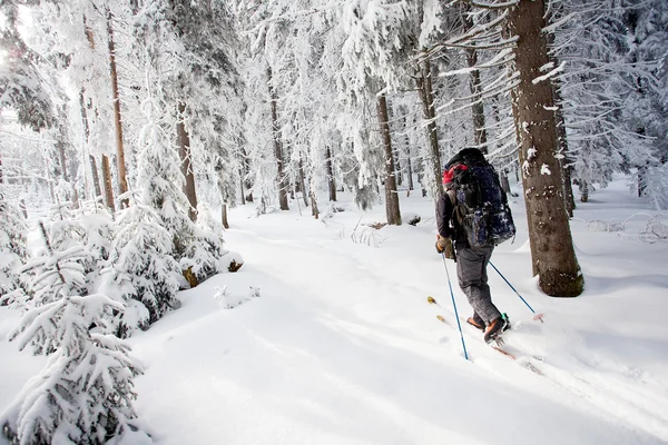 Kışın dağlarda Kayak uzun yürüyüşe çıkan kimse — Stok fotoğraf
