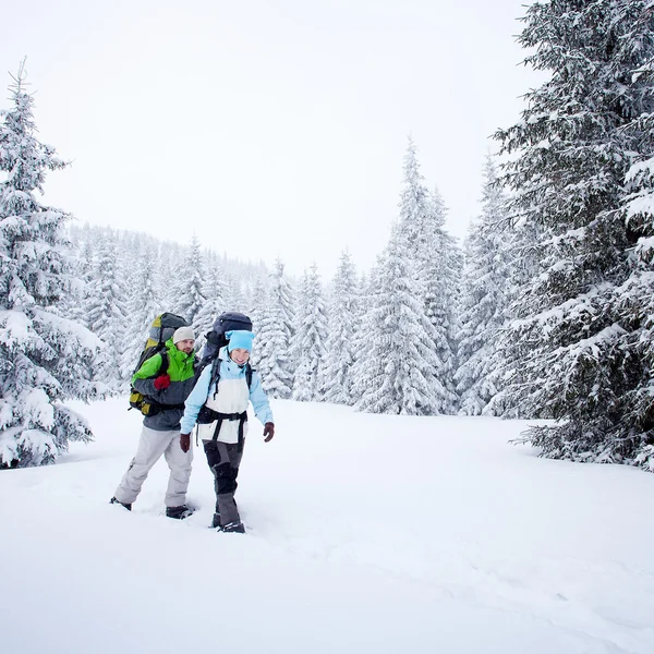 Turista v zimním lese — Stock fotografie
