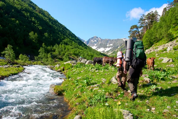 Kafkas Dağları'nda uzun yürüyüşe çıkan kimse — Stok fotoğraf