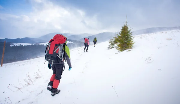 Caminhante em montanhas de inverno — Fotografia de Stock