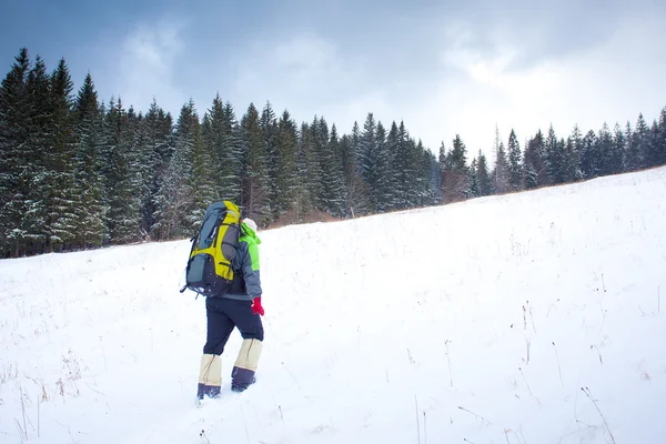 Caminhante em montanhas de inverno — Fotografia de Stock