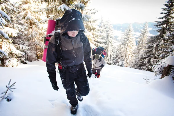 Wanderer in den Winterbergen — Stockfoto