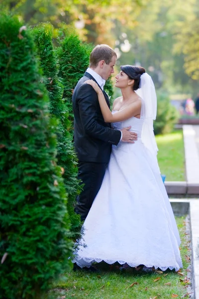 Noiva feliz e noivo em seu dia do casamento — Fotografia de Stock