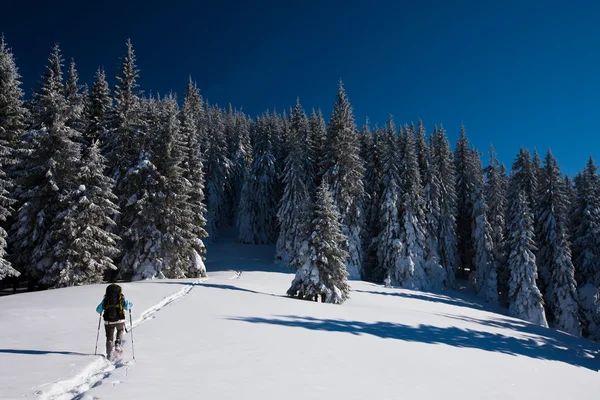 Caminhante em montanhas de inverno — Fotografia de Stock