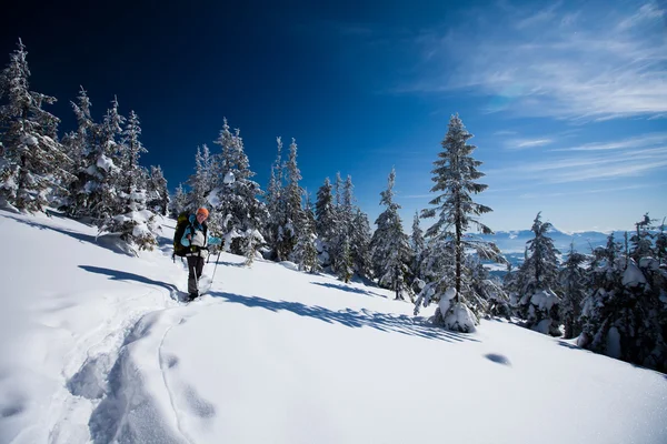 Excursionista en las montañas de invierno —  Fotos de Stock