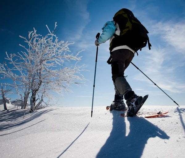 Escursionista in montagna invernale — Foto Stock