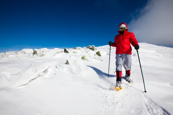 Escursionista in montagna invernale — Foto Stock