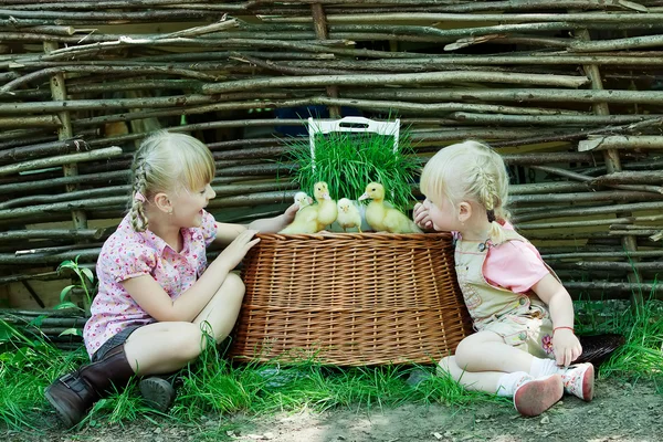 Girls Spela med kyckling och anka — Stockfoto