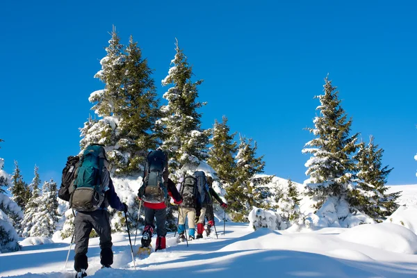 Hiker är på vintern i bergen — Stockfoto