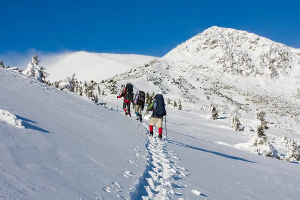 Los excursionistas están en las montañas de invierno — Foto de Stock