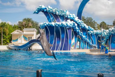 Orlando, Florida. 20 Kasım 2020. Yunuslar Seaworld 'de Yunuslar Günü Gösterisinde Zıplıyor (57))