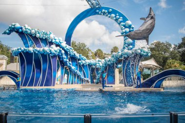 Orlando, Florida. 20 Kasım 2020. Yunuslar Seaworld 'de Yunuslar Günü Gösterisinde Zıpladı (65)
