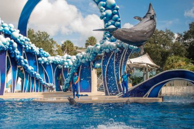 Orlando, Florida. 20 Kasım 2020. Yunuslar Seaworld 'de Yunuslar Günü Gösterisinde Zıplıyor (66))