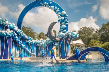 Orlando, Florida. 20 Kasım 2020. Yunuslar Seaworld 'de Yunuslar Günü Gösterisinde Zıplıyor (70)