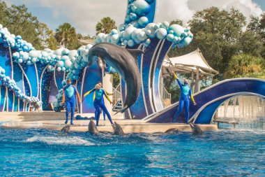 Orlando, Florida. 20 Kasım 2020. Yunuslar Seaworld 'de Yunuslar Günü Gösterisinde Zıplıyor (72)
