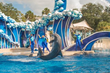 Orlando, Florida. 20 Kasım 2020. Yunuslar Seaworld 'de Yunuslar Günü Gösterisinde Zıpladı (73)