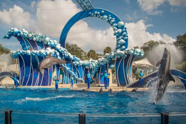 Orlando, Florida. 20 Kasım 2020. Yunuslar Seaworld 'de Yunuslar Günü Gösterisinde Zıplıyorlar (80)
