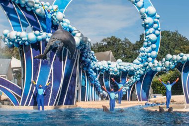 Orlando, Florida. 20 Kasım 2020. Yunuslar Seaworld 'de Yunuslar Günü Gösterisinde Zıpladı (126)