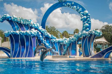 Orlando, Florida. 20 Kasım 2020. Yunuslar Seaworld 'de Yunuslar Günü Gösterisinde Zıplıyor (135)