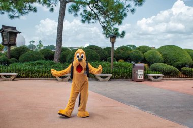 Orlando, Florida. 29 Temmuz 2020. Komik Pluto, Epcot 'taki hayranlarına el sallıyor.)