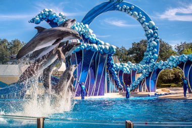 Orlando, Florida. 22 Aralık 2020. Yunuslar Seaworld 'de Yunus Günleri Gösterisinde Zıplıyorlar (31)