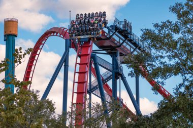 Tampa Körfezi, Florida. 29 Aralık 2020, Busch Gardens 'ta eğlenen insanlar.)