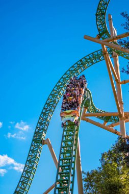 Tampa Körfezi, Florida. 29 Aralık 2020. Busch Gardens 'ta Çita Avı hız treninin keyfini çıkaranlar (3))