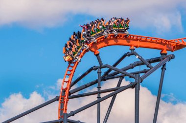 Tampa Körfezi, Florida. 29 Aralık 2020. Busch Gardens 'ta eğlenen insanlar (57))